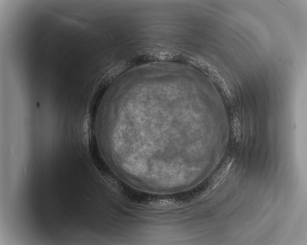 X0000103250594200809111617