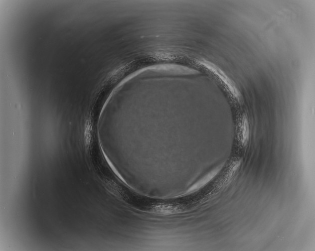 X0000103250596200809111617