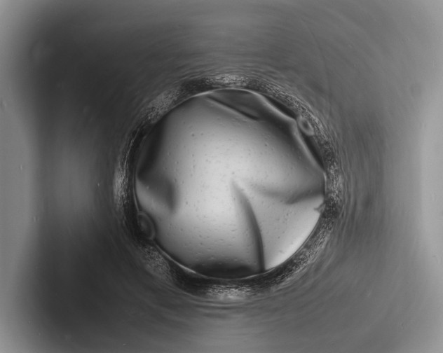 X0000103250597200809111617