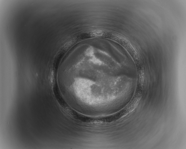 X0000103250598200809111617
