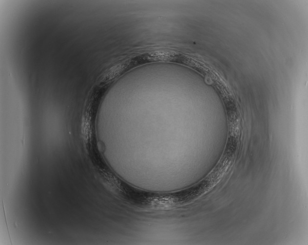 X0000103250599200809111617