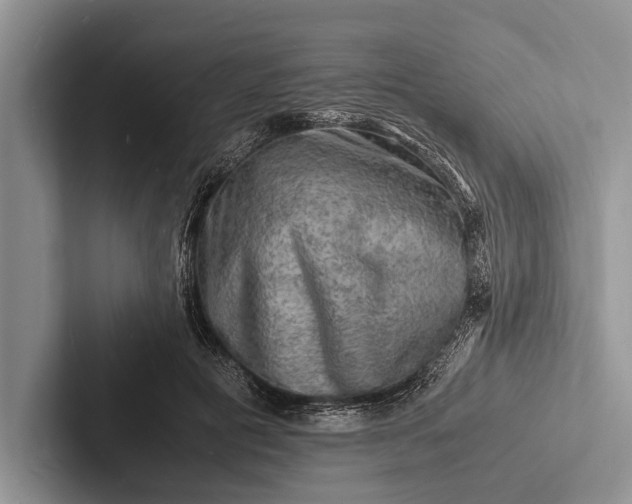 X0000103250601200809111617