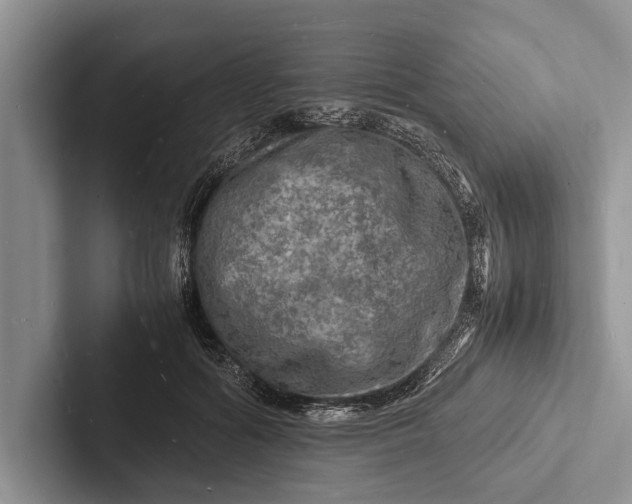 X0000103250602200809111617