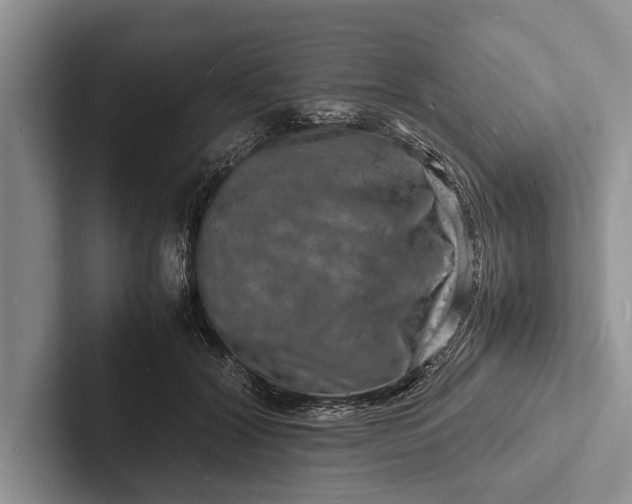 X0000103250604200809111617