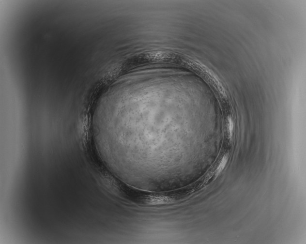 X0000103250605200809111617