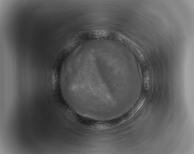 X0000103250608200809111617