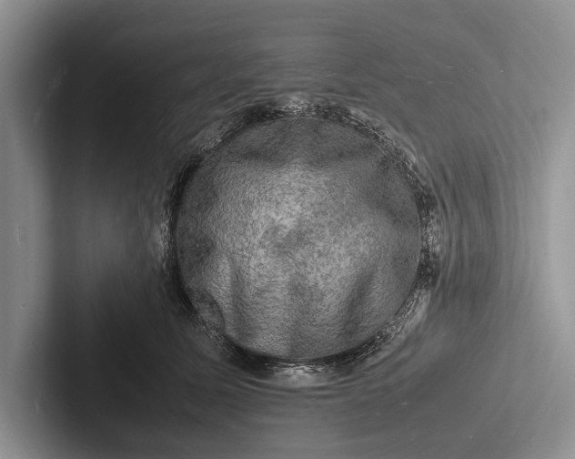X0000103250611200809111617