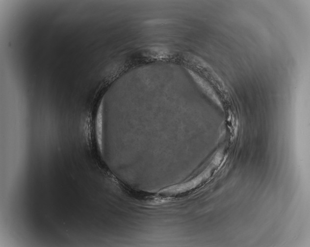 X0000103250612200809111617
