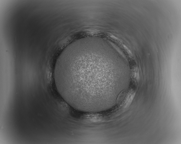 X0000103250615200809111616