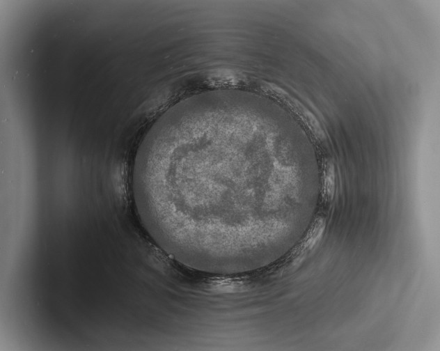 X0000103250616200809111616