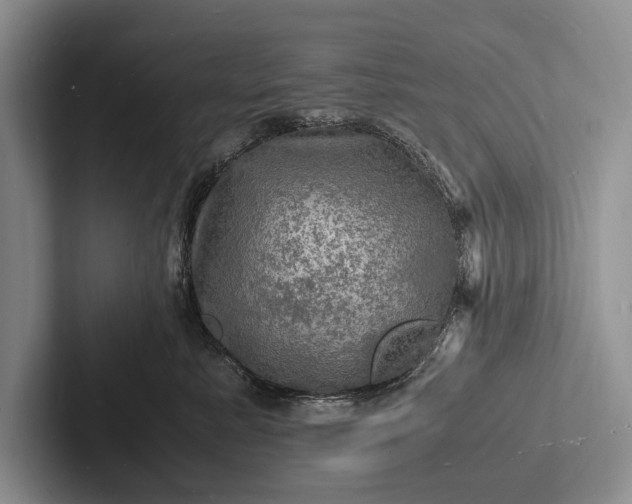 X0000103250619200809111616
