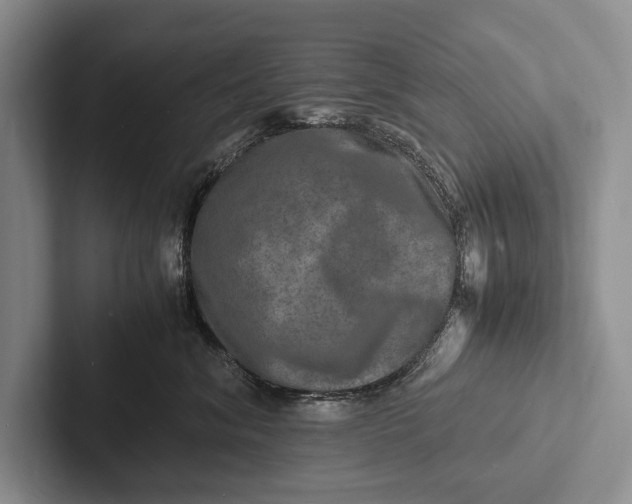 X0000103250620200809111616