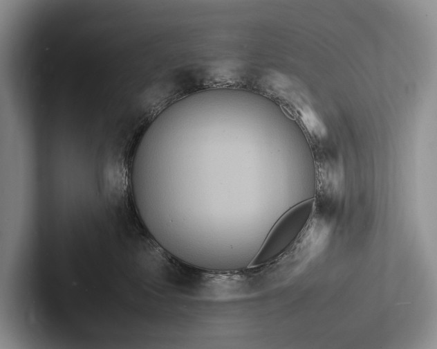 X0000103250621200809111616