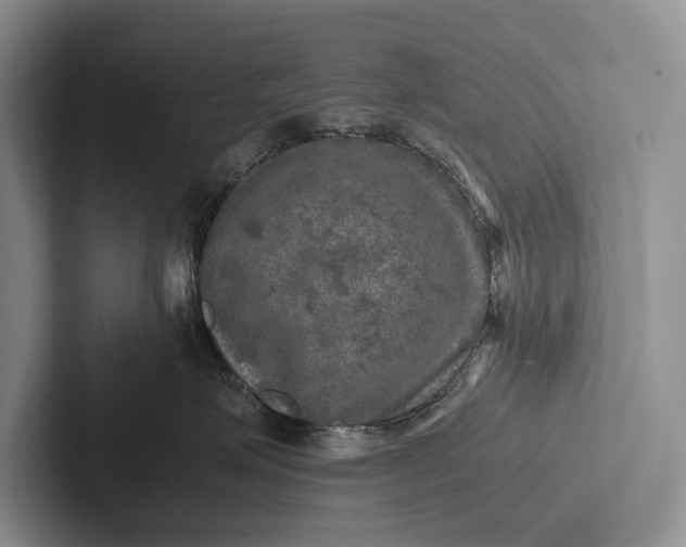 X0000103250623200809111616