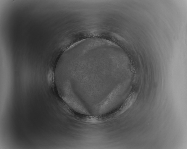 X0000103250624200809111616