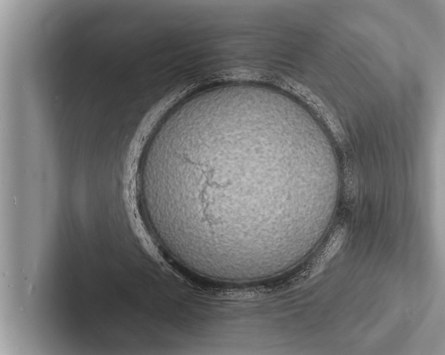 X0000103250625200809111616
