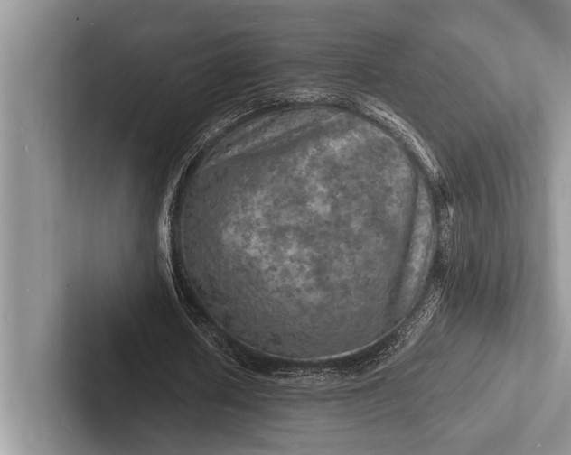 X0000103250626200809111616