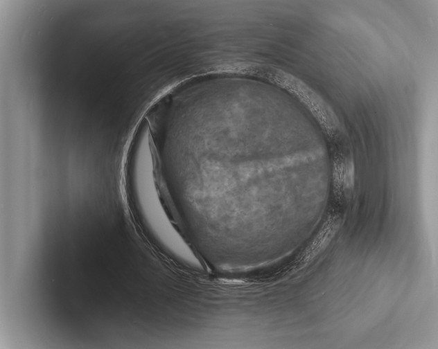 X0000103250628200809111616