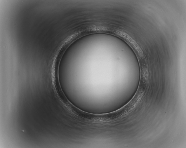 X0000103250629200809111616
