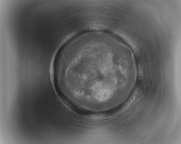X0000103250630200809111616