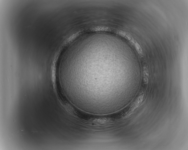 X0000103250631200809111616