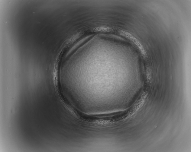 X0000103250633200809111616