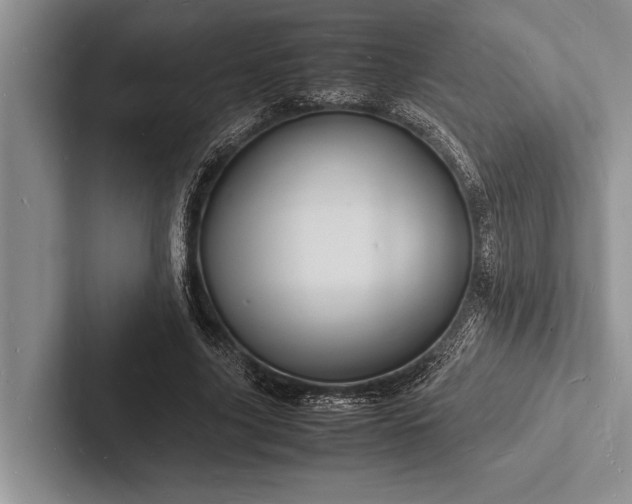 X0000103250635200809111616