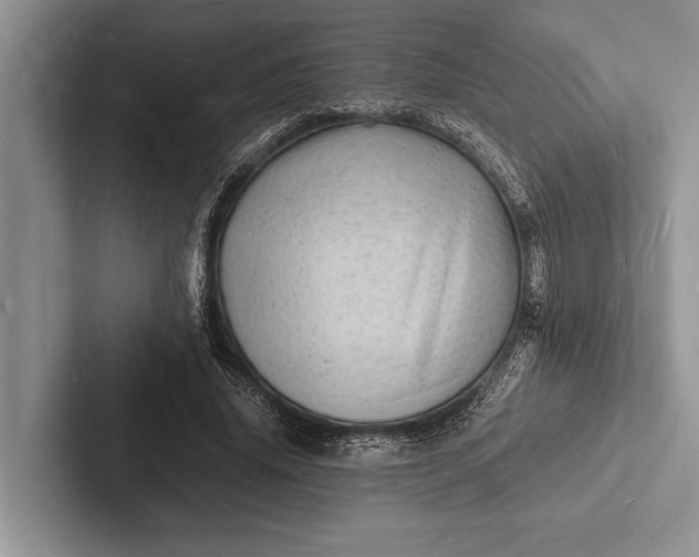 X0000103250636200809111616