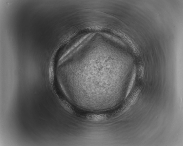 X0000103250638200809111616