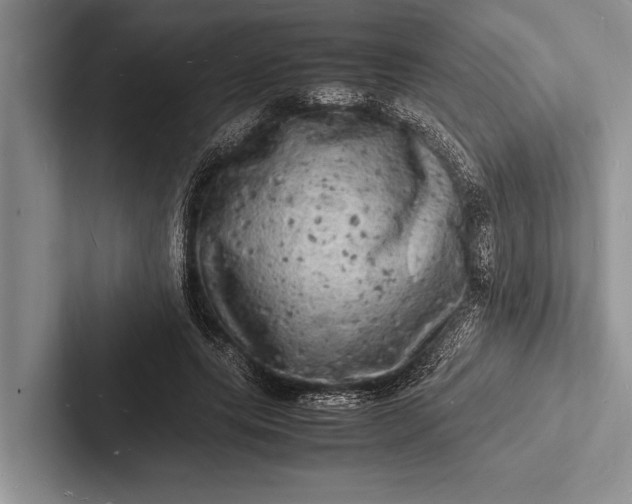 X0000103250639200809111616