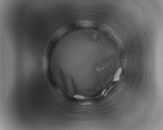 X0000103250643200809111616