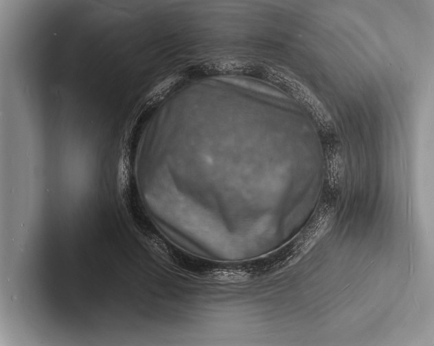 X0000103250644200809111616