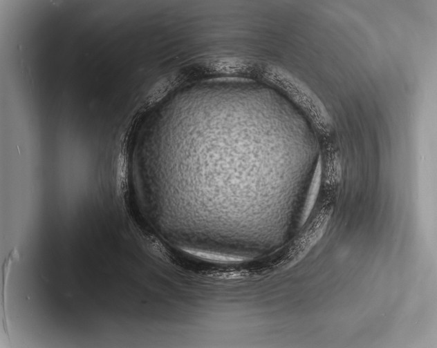 X0000103250646200809111616