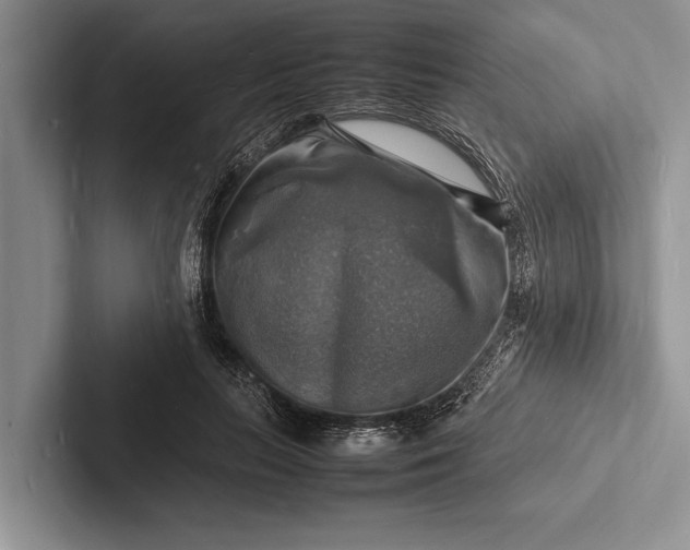 X0000103250647200809111616