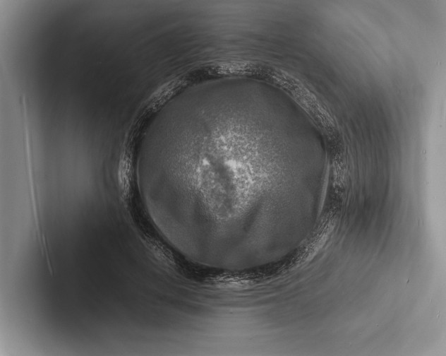 X0000103250648200809111616