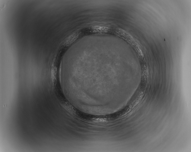 X0000103250649200809111616