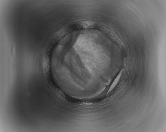 X0000103250650200809111616