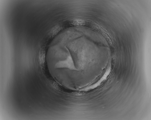 X0000103250652200809111616
