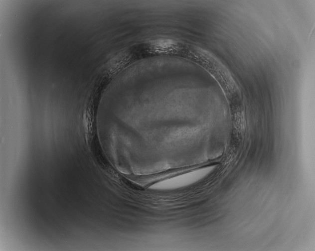 X0000103250653200809111616