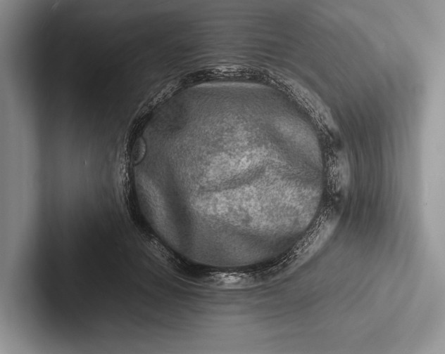 X0000103250654200809111616