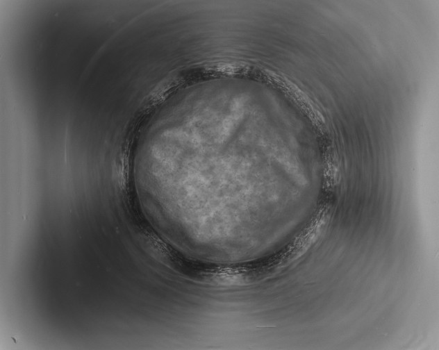 X0000103250656200809111616