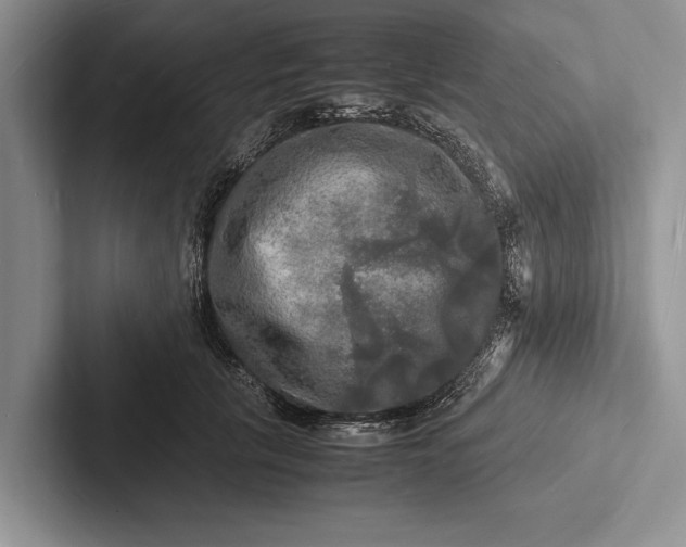 X0000103250657200809111616