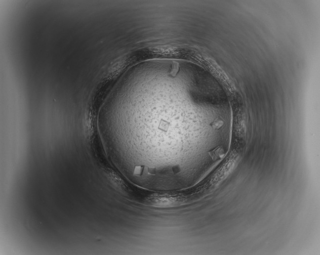 X0000103250658200809111616