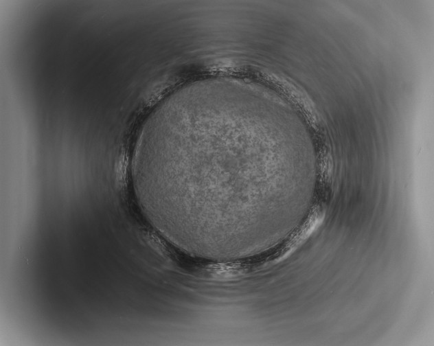 X0000103250660200809111616