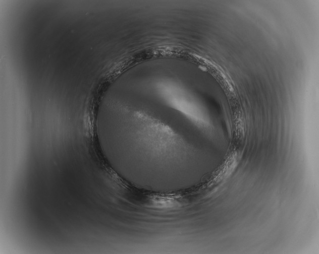 X0000103250661200809111616