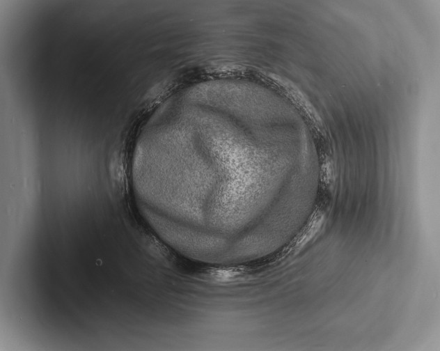 X0000103250662200809111616