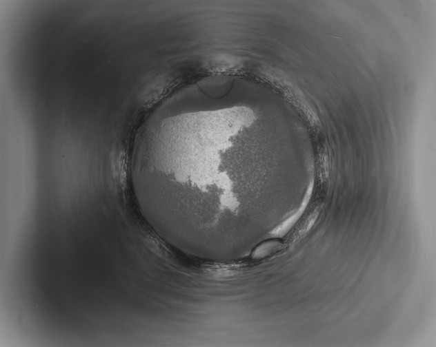 X0000103250664200809111616