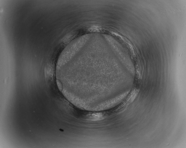 X0000103250665200809111616