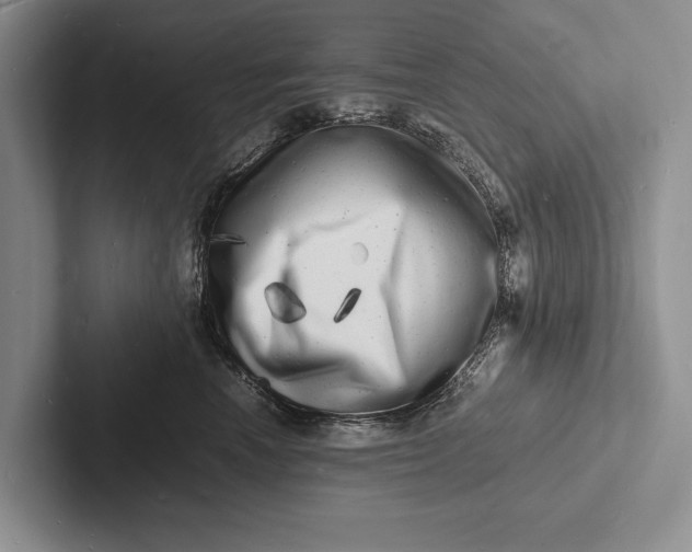 X0000103250666200809111616