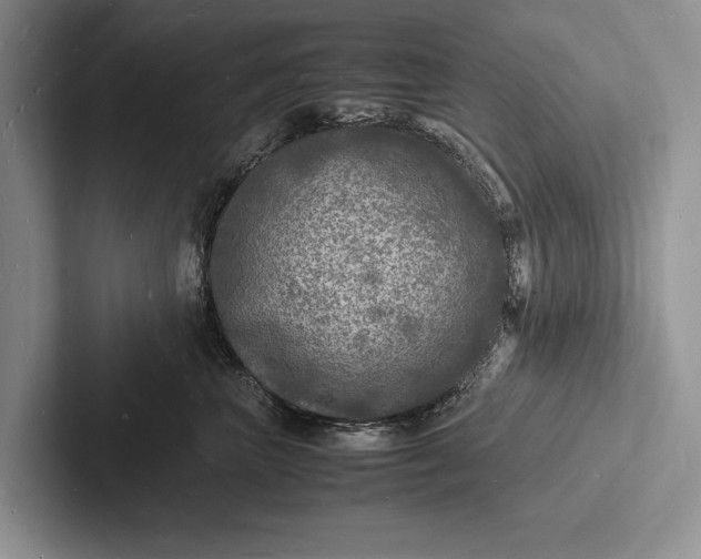 X0000103250667200809111616